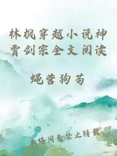 林枫穿越小说神霄剑宗全文阅读